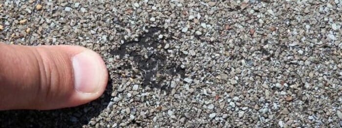 shingle-hail-damage-on-roof2